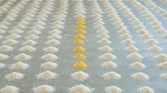 Installationsansicht eines Reisfelds von Wolfgang Laib in der Fondazione Merz in Turin